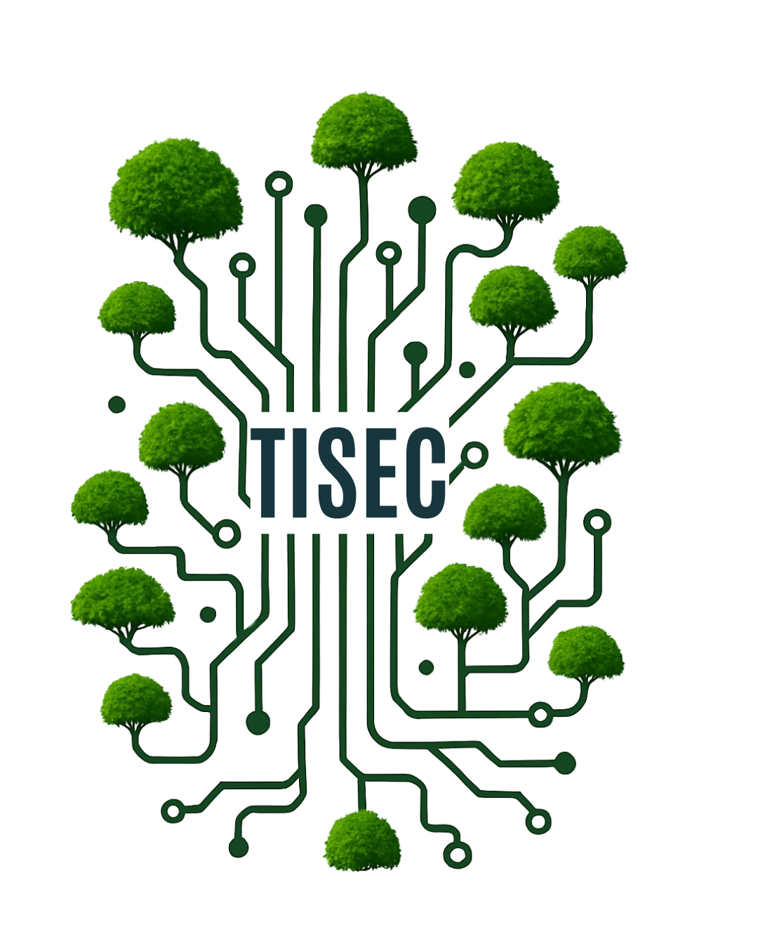 completo fondo con TISEC